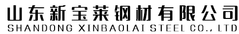 山東新寶萊鋼材有限公司